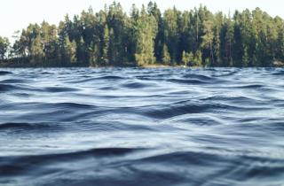 Четыре копья X–XI века подняты со дна Ледницы археологами