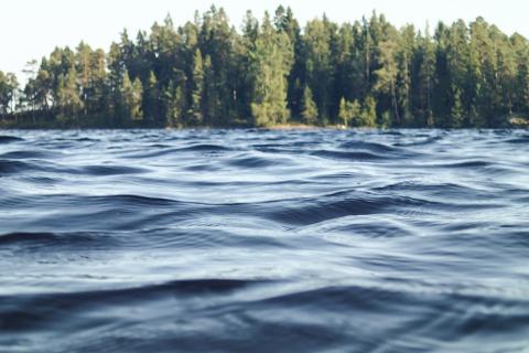 Четыре копья X–XI века подняты со дна Ледницы археологами