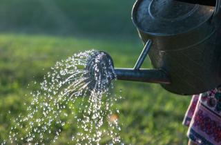 Снег тает, урожай крепнет: почему садоводы не упускают шанс собрать талую воду