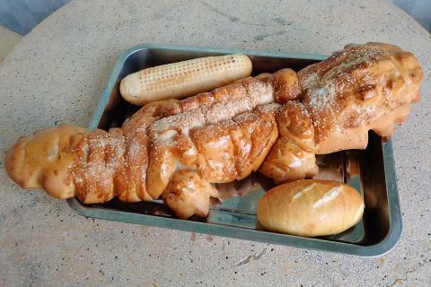 Bánh mì cá sấu