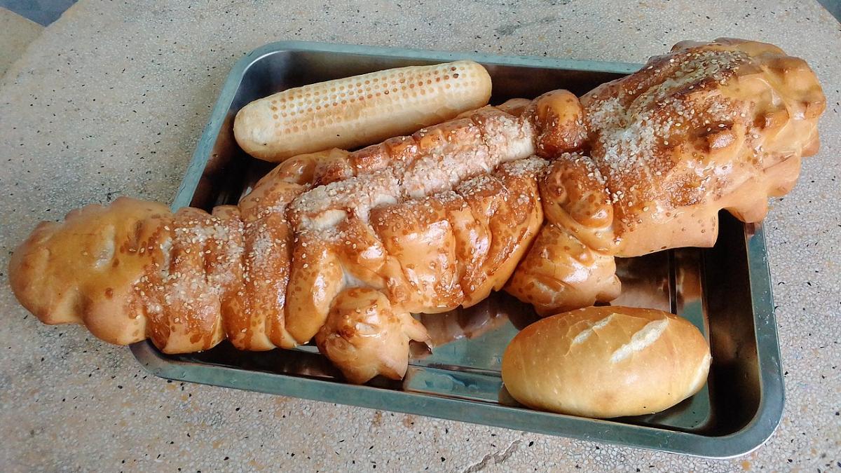 Bánh mì cá sấu