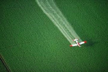 Китайские исследователи рассказали об опасности пестицидов