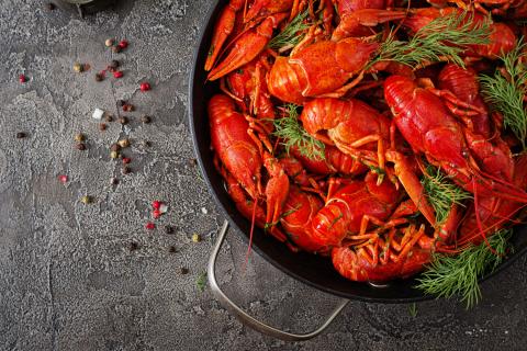Российские компании намерены расширить экспорт рыбной продукции в Индию — ТАСС