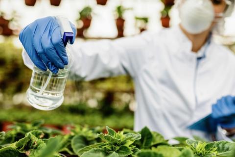 В Мичуринском открыли первый агрокласс в рамках федерального проекта Кадры в АПК — КП Хабаровск