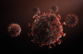 Рост микротромбов в 20 раз при постковиде выявлен учёными Journal of Medical Virology