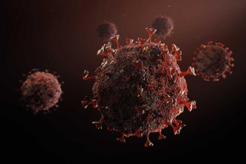 Рост микротромбов в 20 раз при постковиде выявлен учёными Journal of Medical Virology