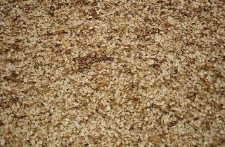 В Тюмени предложили увеличить сроки получения разрешений на заготовку древесины — областная дума