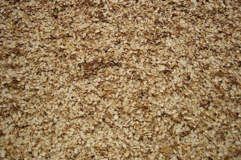 В Тюмени предложили увеличить сроки получения разрешений на заготовку древесины — областная дума