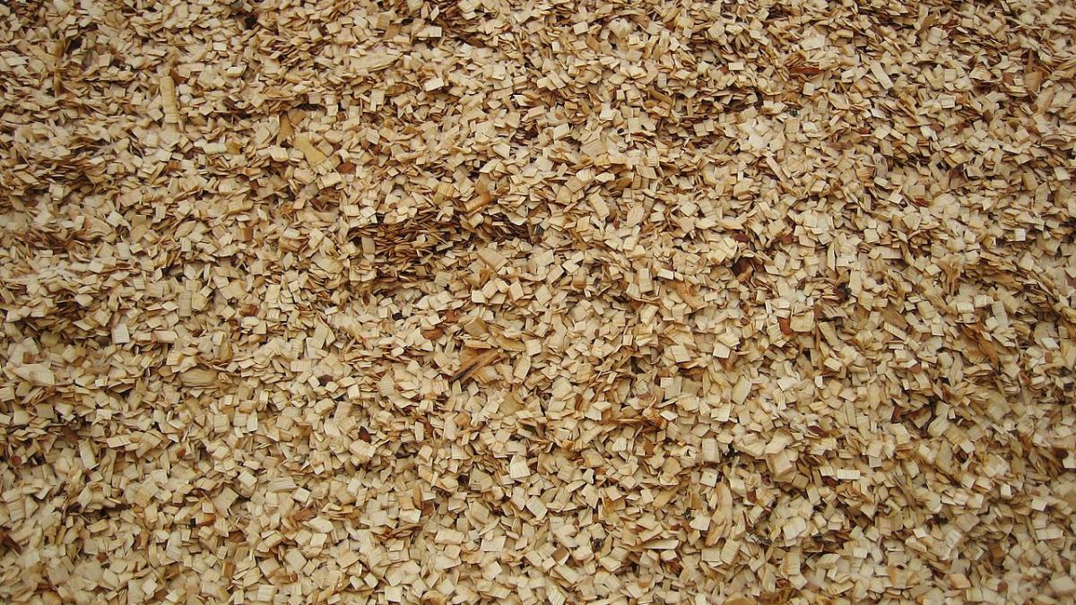 Технологическая щепа для получения целлюлозы