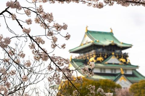 Китайская традиция требует месяца отдыха после родов — Мел