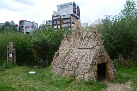 4 скрытых угрозы от “экологичных” товаров — маркетинг или опасность?