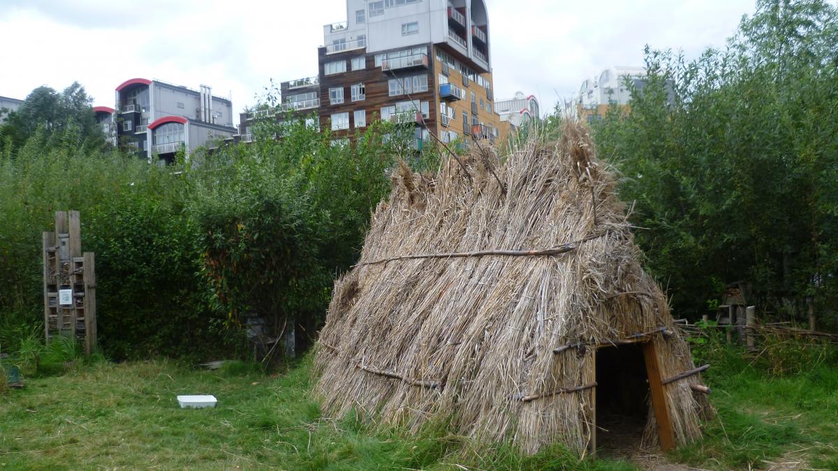 Greenwich Peninsula Ecology Park - geograph.org.uk - 2552997 Greenwich Peninsula Ecology Park - geograph.org.uk - 2552997