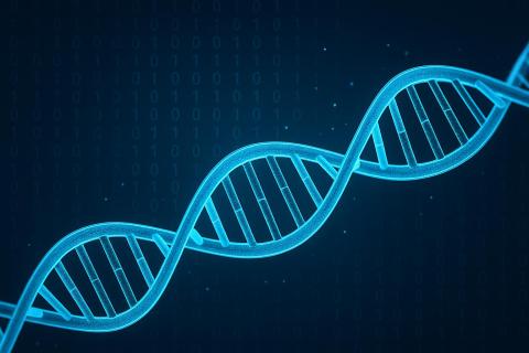 926 генов разногласий: как мозг решает, кем ты станешь, ещё до твоего первого вдоха
