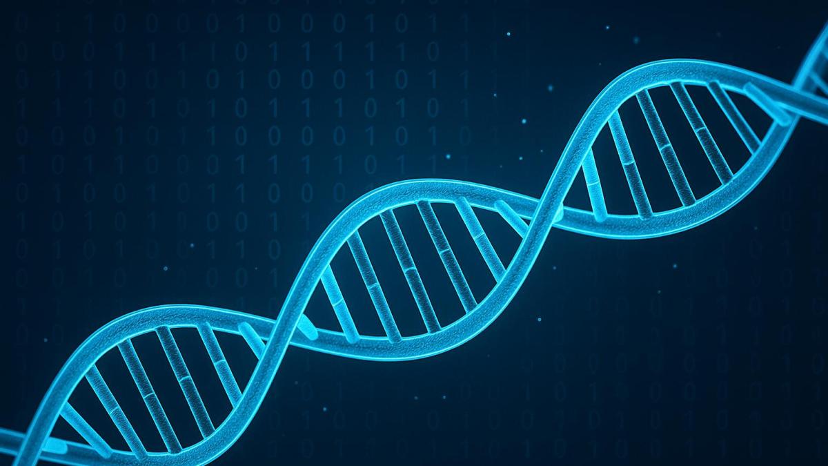 Структура ДНК