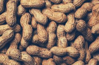 Ешь и помни: как обычные орехи улучшают память и питание мозга