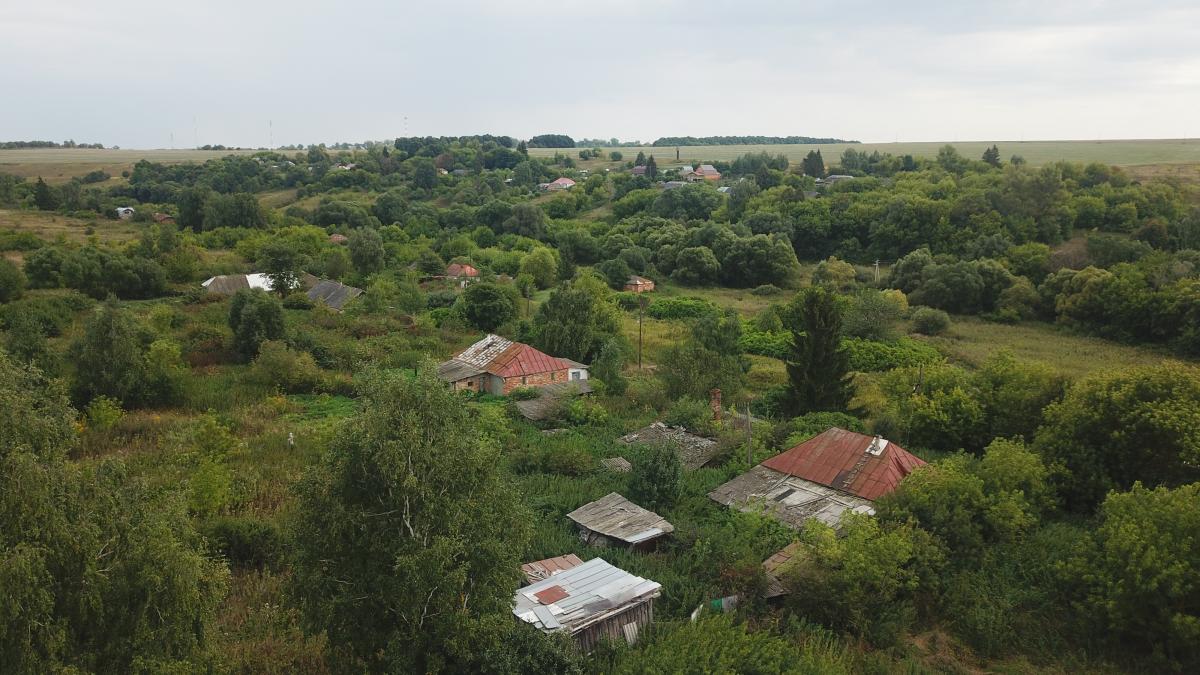 Синявино (Тульская область) Синявино (Тульская область)