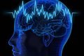 Ученые: ваша забывчивость является признаком необычайного интеллекта Ученые: ваша забывчивость является признаком необычайного интеллекта