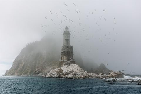 Остров притяжения: как соглашение с Яндексом превращает Сахалин в центр туризма