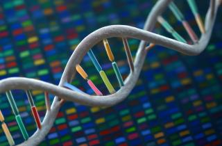 Генетические перекрытия депрессии и инсульта обнаружили исследователи Осло