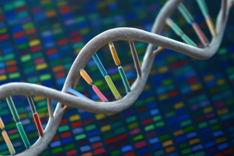 Генетические перекрытия депрессии и инсульта обнаружили исследователи Осло