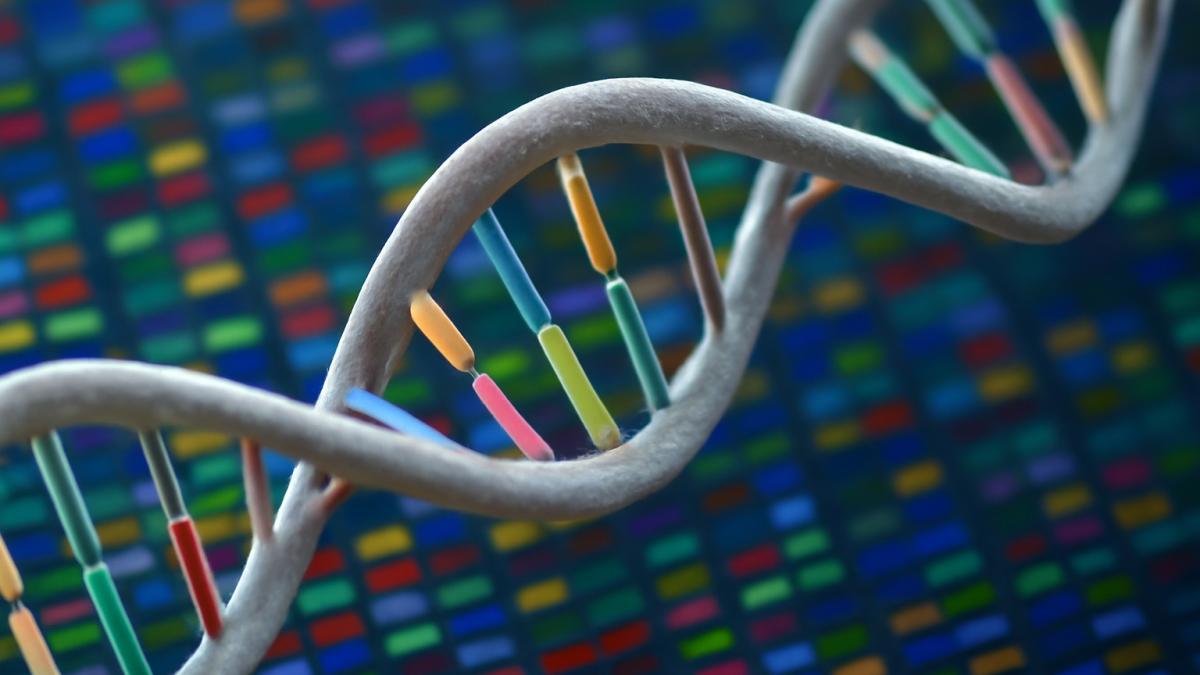 Изображение молекулы ДНК