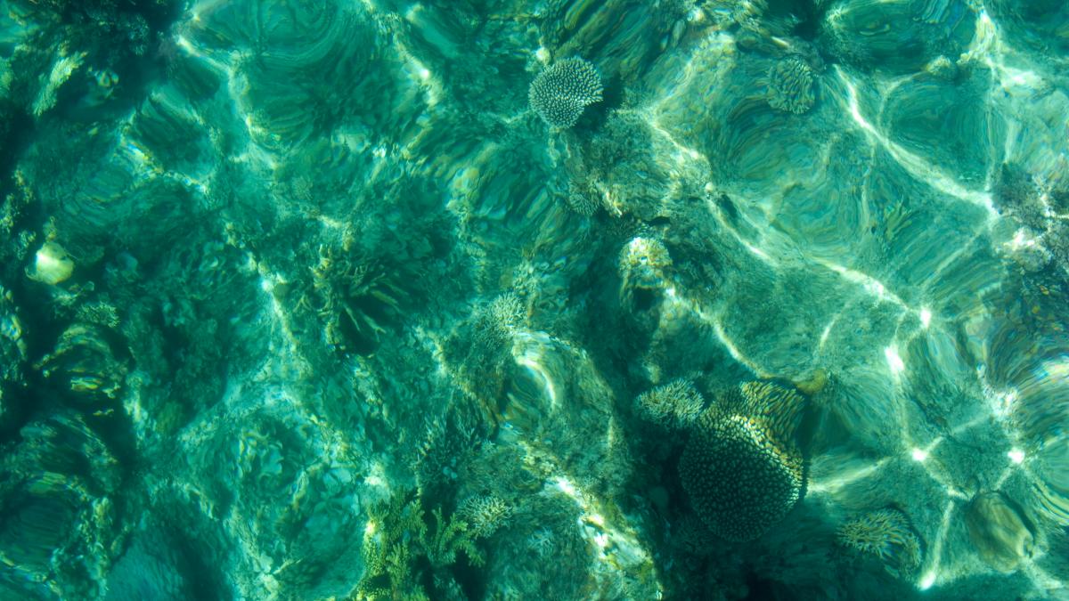 морская вода морская вода