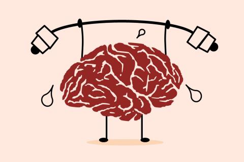 Кто такие нейроиммунологи? Как наша иммунная система влияет на мозг?