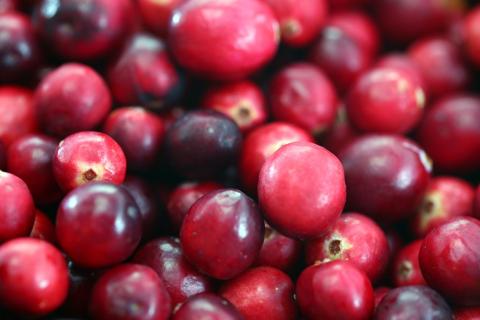 Эндокринолог Тананакина напомнила о 350 мкг йода в клюкве