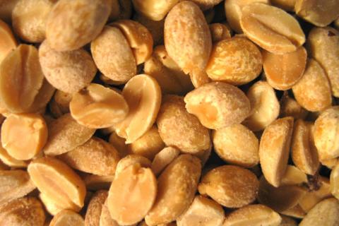 Продукт, которого боялись, оказался защитником: арахис помогает детям избежать опасных реакций Продукт, которого боялись, оказался защитником: арахис помогает детям избежать опасных реакций
