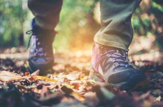 Ходьба задом наперед снижает нагрузку на колени и улучшает равновесие — терапевт Уайли