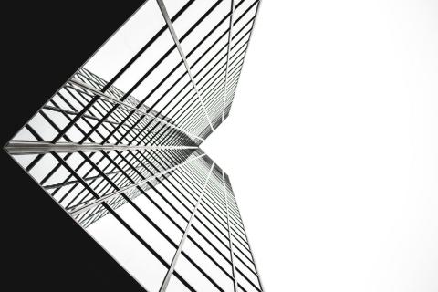 ООО применяют налоговые льготы для снижения нагрузки