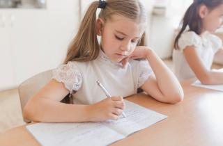 Школа воспитывает отличников, но не граждан — можно ли это исправить