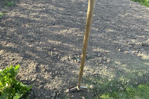 Перекопка снижает устойчивость грядок к засухе — агрономы