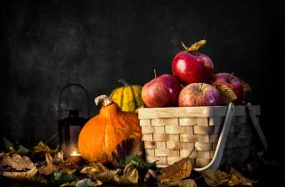 Садоводы выявили пользу подсушивания плодов перед зимним хранением — Антонов сад