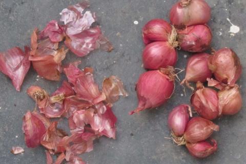 Луковая шелуха улучшает структуру почвы — агрономы