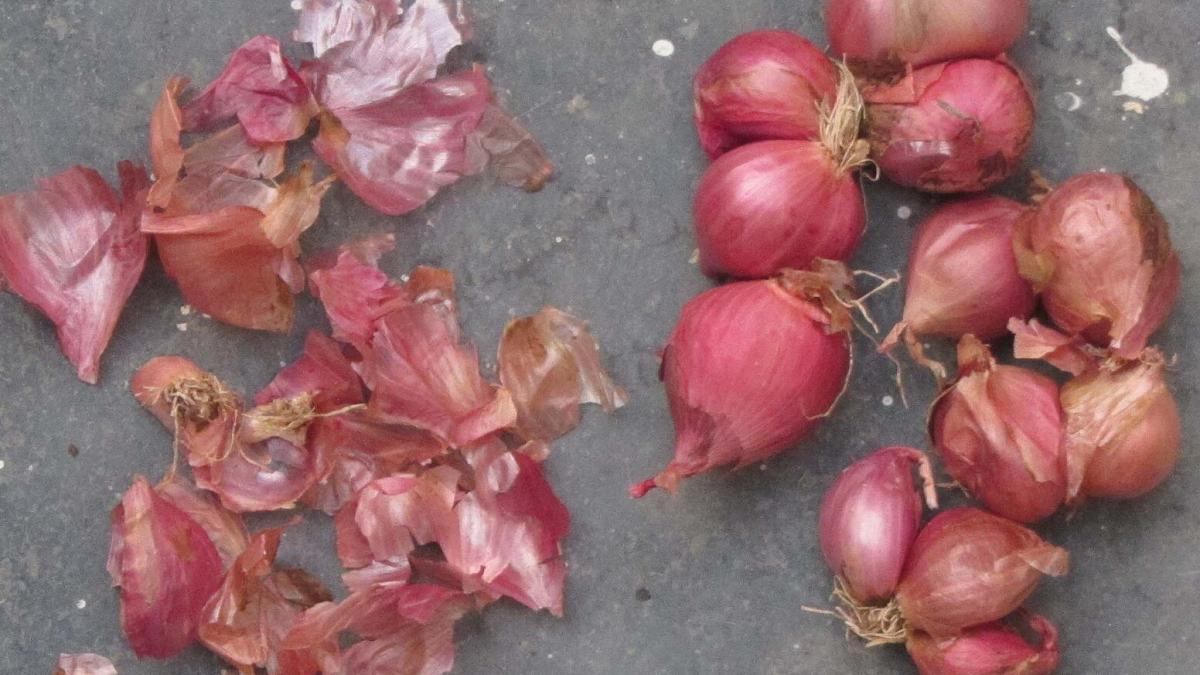 Луковая шелуха