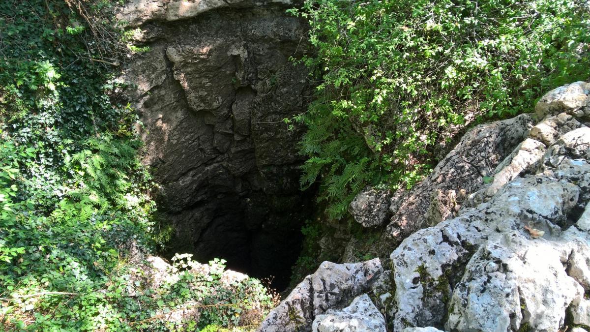 Пещера Максимовича шахта