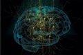 Нити, вживляемые в мозг, способны считывать информацию Нити, вживляемые в мозг, способны считывать информацию