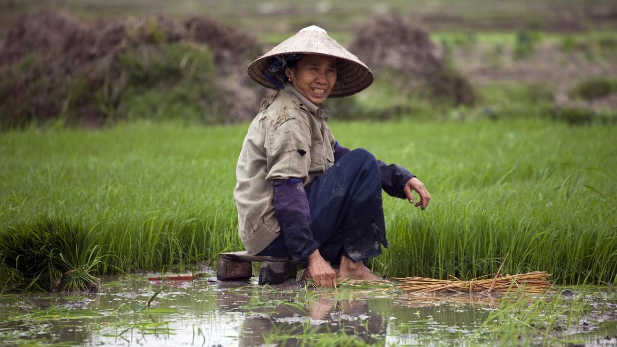 Vietnam & Cambodia (3337588088)