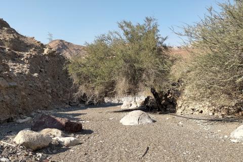 Эль-Фуджайру указали как выгодный курорт по all inclusive — тревел-блогеры