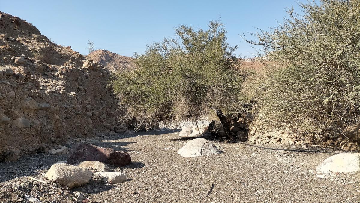 Эль-Фуджайра