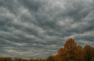 Спектральные подписи микробов выявили биосигнатуры в облаках - астробиологи