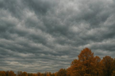 Спектральные подписи микробов выявили биосигнатуры в облаках - астробиологи
