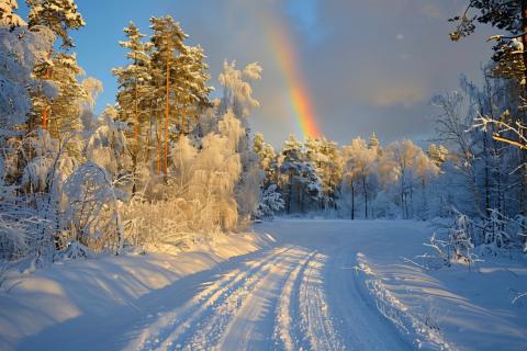 Новогодние программы пройдут со 2 по 10 января в Малых Корелах — пресс-служба
