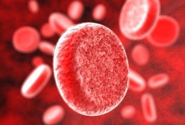 Ученые: болезни человека зависят от группы крови