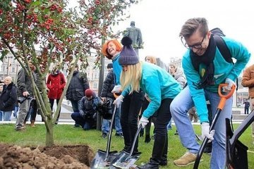 Свыше 5 тысяч деревьев посадят осенью в Москве