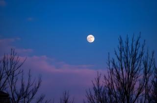 Полнолуние сокращает ночной сон на 20 минут — нейробиологи