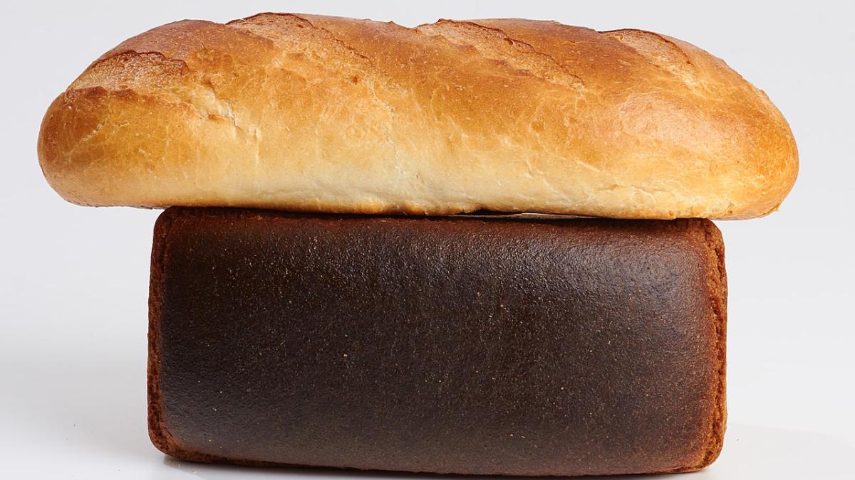 Древние могли питаться не хлебом единым