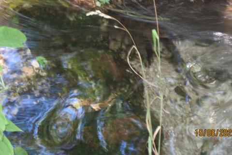 Пасхальная вода Карелии: как молчаливый обряд очищения жив до сих пор