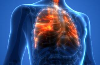 Учёные: бактерии из зубного налета попадают в лёгкие